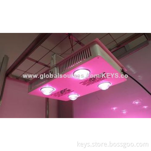 600W COB LED Grow Light, Full Spectrum 380-840nm, Bridgelux Chip